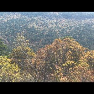 Meet your Posher, Joyce